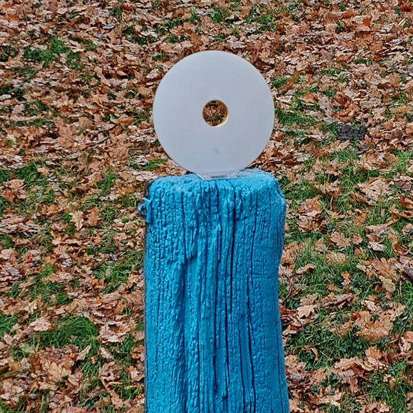 Projekt_10